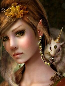 LESEN - Wissen, das dich weiterbringt – intelligent, individuell, in Rekordzeit schau rein & Life shopping - Herford (Hansestadt) Zentrum