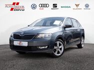 Skoda Rapid, 1.0 TSI Cool Edition, Jahr 2018 - Brandenburg (Havel)