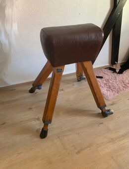 Turnbock Vintage an Selbstabholer in Wuppertal abzugeben! - Wuppertal