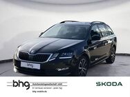 Skoda Octavia, 2.0 TDI Combi Ambition Octavia Combi Sol, Jahr 2020 - Balingen