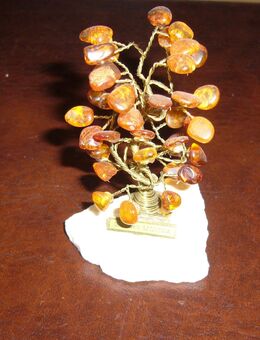 Bernstein-Bonsai-Bäumchen 9x5cm ALT - Krefeld
