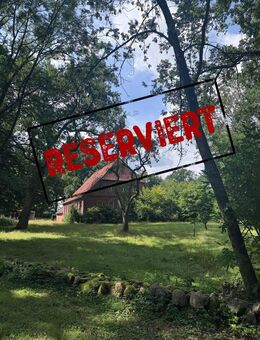 RESERVIERT! Projektobjekt: Resthof unter Eichen auf Traumgrundstück - Römstedt
