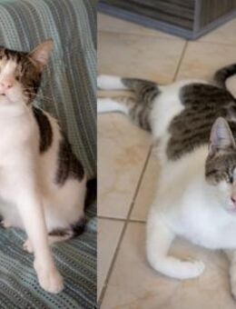 Luna und Louloudaki aus dem Tierschutz - Grevenbroich