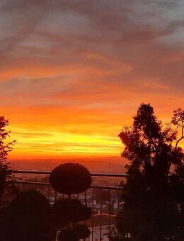 Penthouse Traum - Wohnen über den Dächern von Weingarten - Weingarten