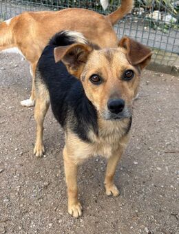 DUG HATTE BISHER KEIN SCHÖNES LEBEN - Mönchengladbach