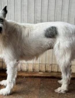 Zarte Pauline sucht Sicherheit und Liebe - München