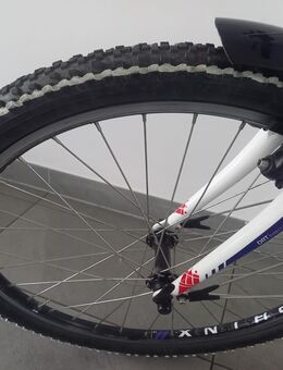 Stevens 24 Zoll Fahrrad - Landau (Pfalz)