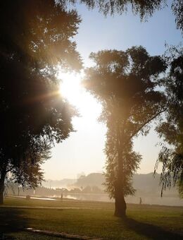 Nordic Walking Training - Braunschweig