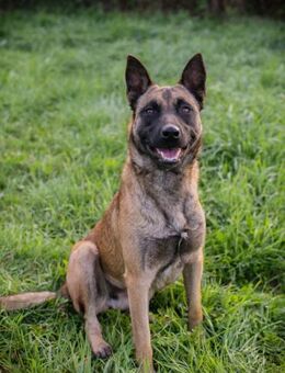 DETE - Familie wäre einfach perfekt - Overath
