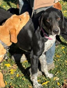 Ich heiße Sammy ....mit Video - Frankfurt (Main)