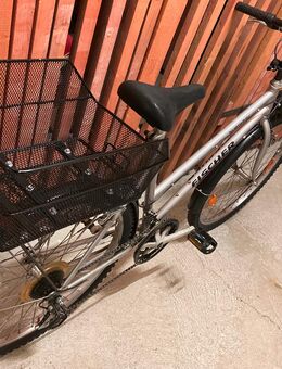 Damenfahrrad MTB Fischer, Räder 26 Zoll, Rahmenhöhe 49½ cm, 18 Gänge, Beleuchtung, Schutzbleche, Korb, Klingel - München Hadern