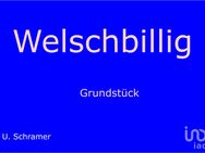 Welschbillig Baugrundstück - Welschbillig