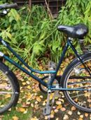 Fahrrad 28" gepflegt, gut & fahrbereit deutscher Hersteller in 22159