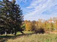 Natur Pur - Baugrundstück mit Baugenehmigung - Bauträgerfrei - Wilsdruff