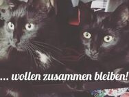 LUNA&KIKI - Betzenstein