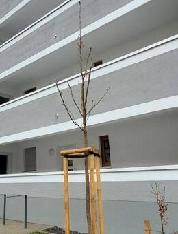Bei VIVAWEST die Sonnenstrahlen auf der eigenen Terrasse genießen. - Bochum