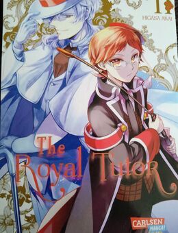 The Royal Tutor Band 11 - Schwerin