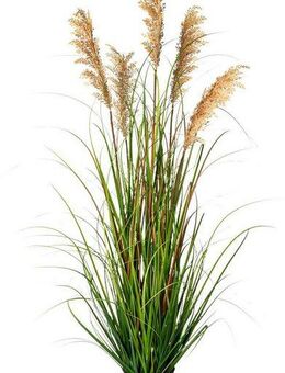 Kunstgras Grasbusch Rispenhirse Gras, Creativ green, Höhe 122 cm