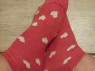 🥵duftende Socken 🥰 - Magdeburg