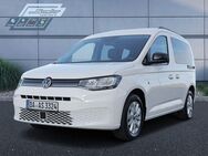 VW Caddy, 2.0 TDI Life, Jahr 2024 - Griesheim