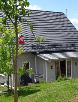 Neuwertiges Einfamilienhaus mit großem Grundstück im Familienparadies Stammbach - Stammbach