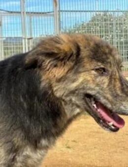 GAIA- ihre 2. Chance beginnt jetzt - Regensburg