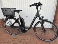 E-Bike Kalkhoff AGATTU Advance - Scheden