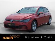 VW Golf, 1.5 TSI VIII Life, Jahr 2023 - Insingen