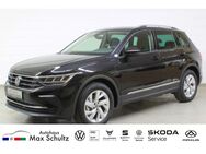 VW Tiguan, 2.0 TDI Active Tiguan Active, Jahr 2023 - Kronach