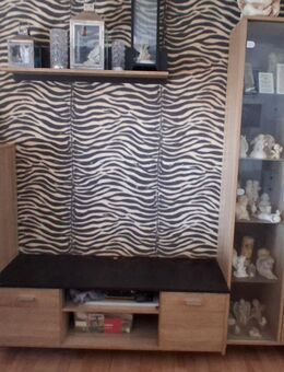 Schrank mit Regal - Kassel