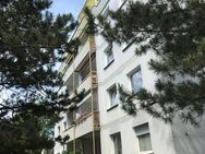 Schöne 2 Zimmer Wohnung in ruhiger Lage mit Blick ins Grüne - Ertsbezug nach Renovierung - Bad Homburg (Höhe)