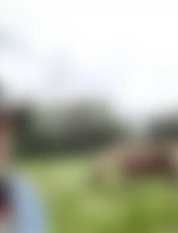 160*** - Leubsdorf (Sachsen)