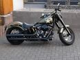 Harley Slim S in Grün mit Stern in 59964