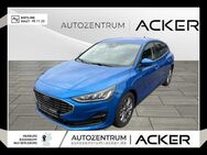 Ford Focus, 1.5 EcoBlue Titanium X, Jahr 2024 - Bad Berleburg