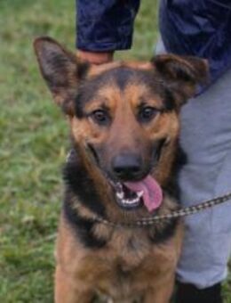 265911 - ich will neue Welten entdecken - Overath