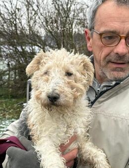 Ich heiße Panka ... mit Video - Frankfurt (Main)