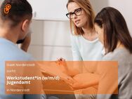 Werkstudent*in (w/m/d) Jugendamt - Norderstedt