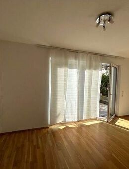 Dreisam-Idyll: 2 - Zimmer-Charme - Freiburg (Breisgau)