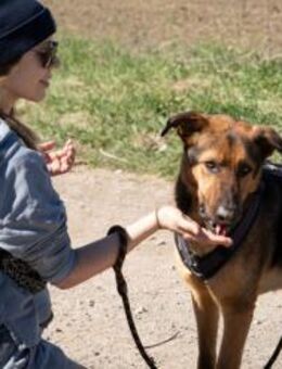 Swimmer - spielfreudiger sucht Pool - Berlin