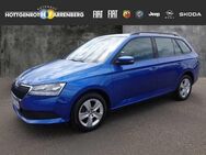 Skoda Fabia 1.0 TSI Ambition - Altenkirchen (Westerwald)