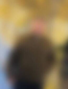 Han*** - Seehausen (Altmark, Hansestadt) Zentrum