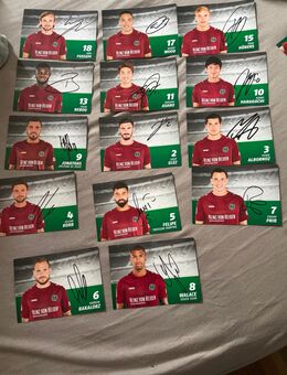 Hannover 96 Autogramm Karten Handsigniert - Salzgitter