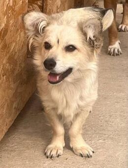 Kleine Fenja aber oho 😄 - Düsseldorf