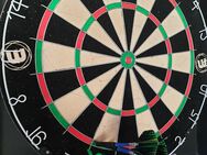 Darts im Raum Euskirchen / Daun in 53881