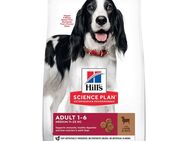 Hill's Science Plan Adult 1-6 Medium mit Lamm & Reis - 14 + 4 kg gratis!
