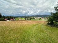 Baugrundstück im bayerischen Wald Gemeinde Hinterschmiding/Herzogsreut - Hinterschmiding