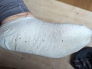 Getragene Socken/Slips/Bh's - Wuppertal