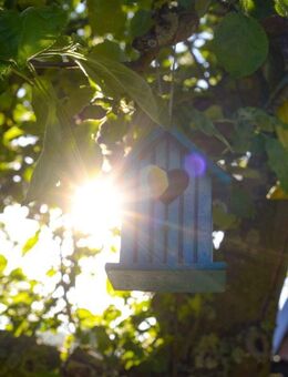 Ein Grundstück - Zwei Wohnträume! Zweifamilienhäuser von Bien-Zenker - Münster