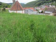 Sonniges Baugrundstück in Neckargerach - Neckargerach