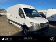 Mercedes Sprinter, 317 KA Maxi MBUX, Jahr 2023 - Ravensburg